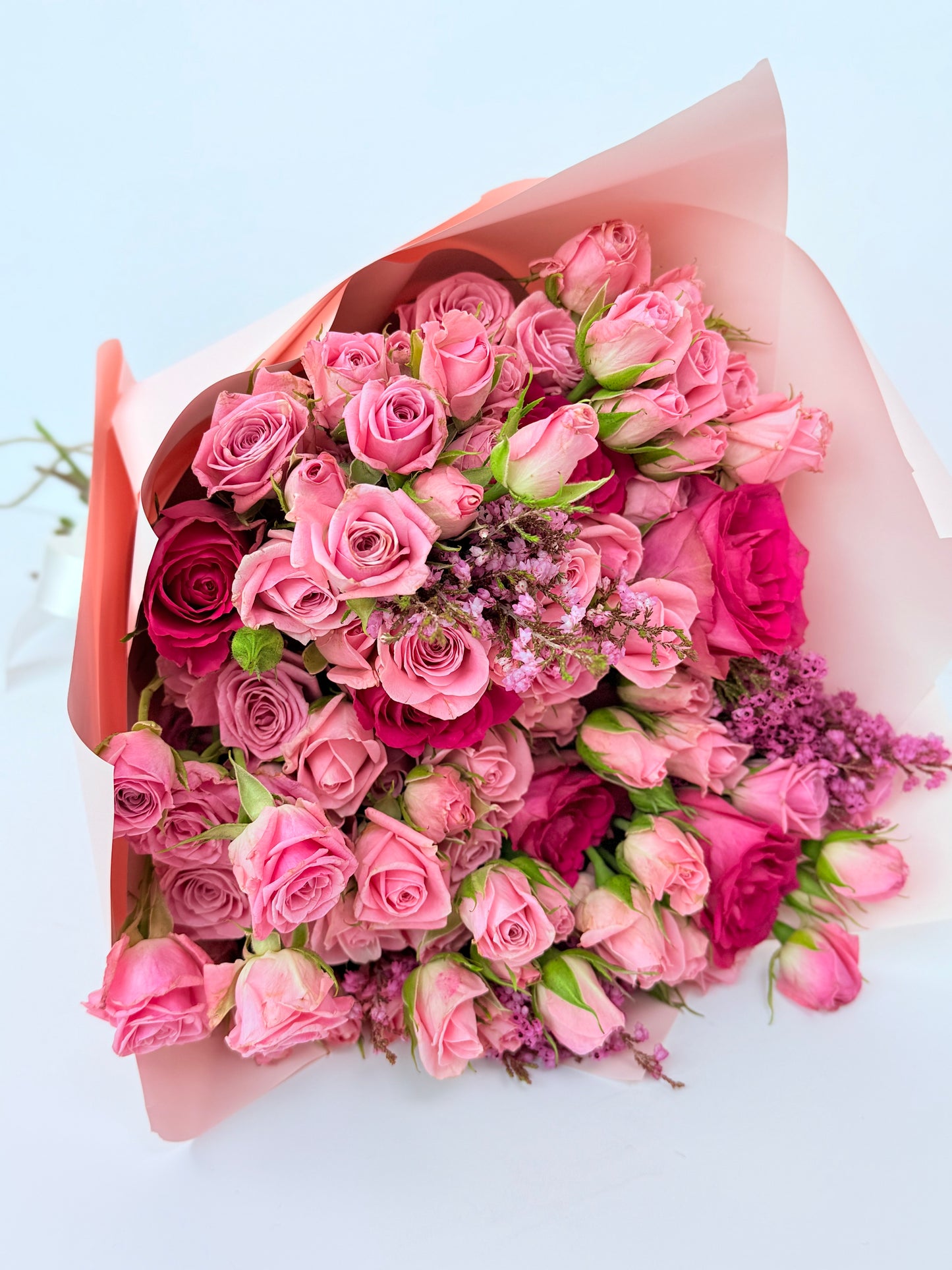 Pretty in Pink Rose