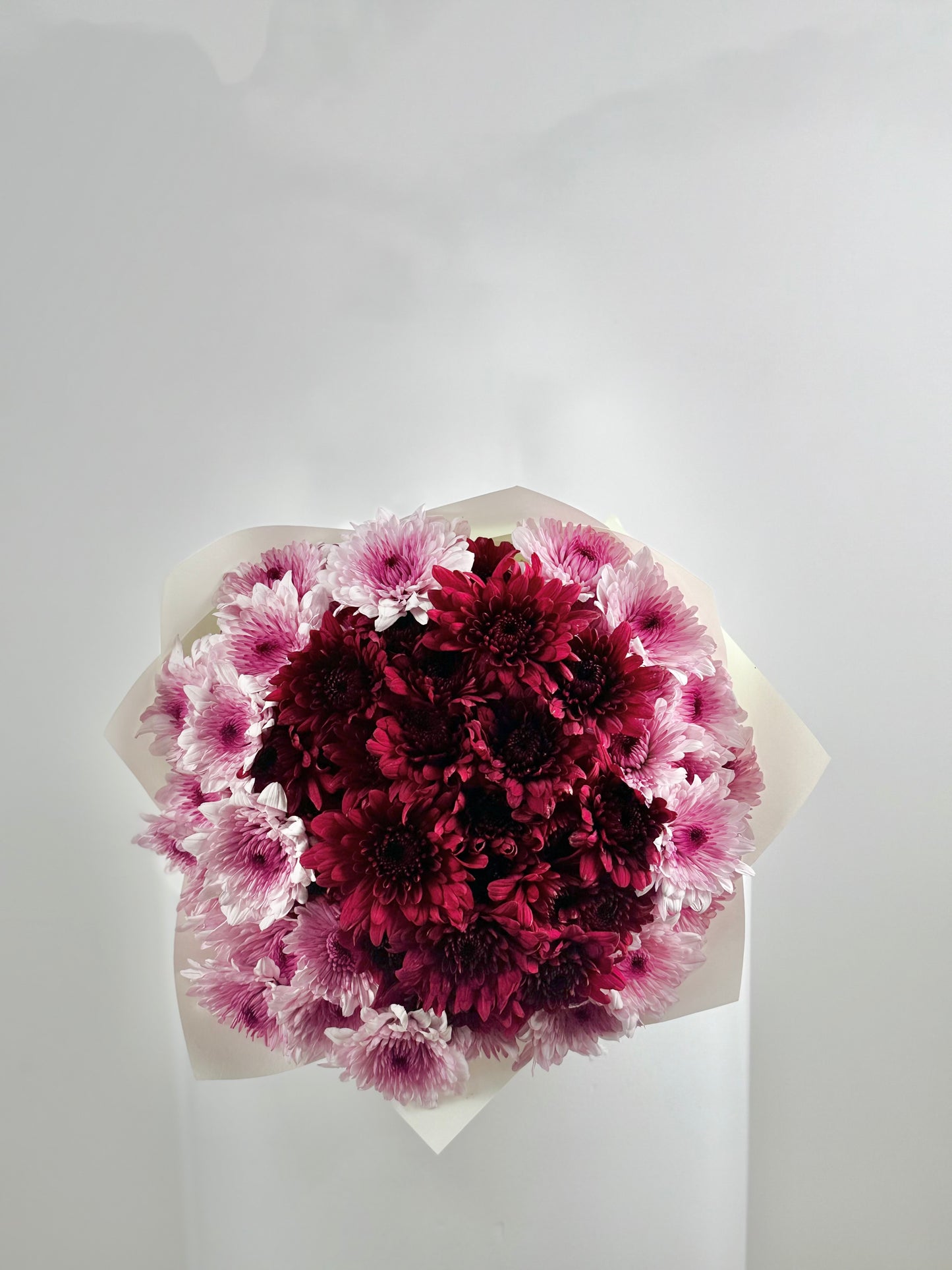 Chrysanthemums