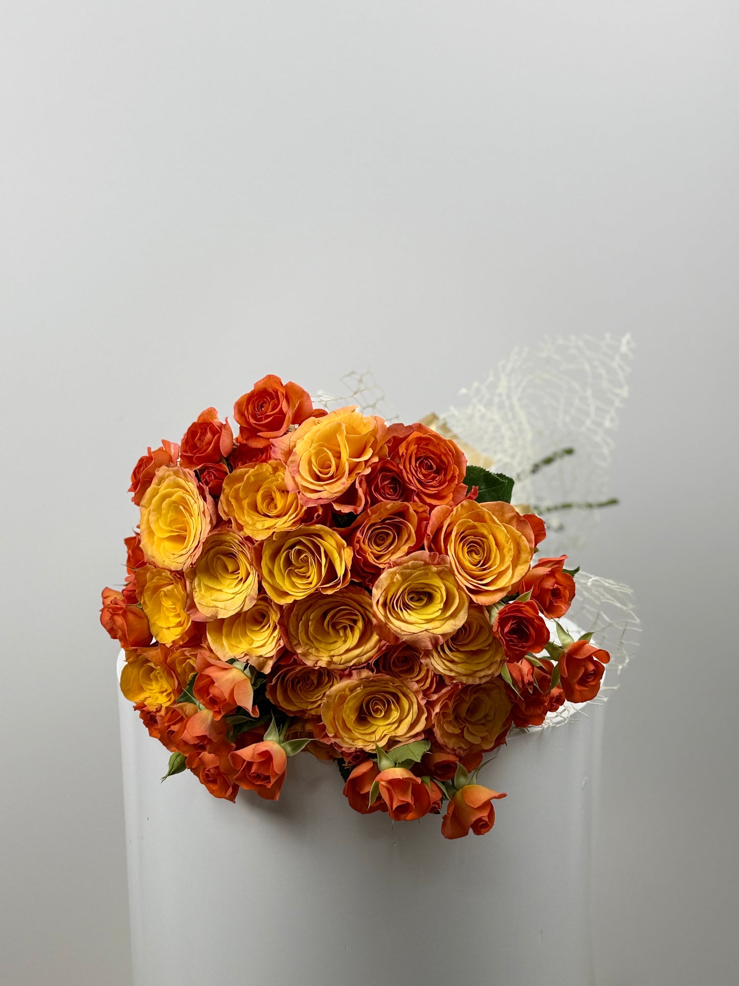 Roses - Sunset Bliss