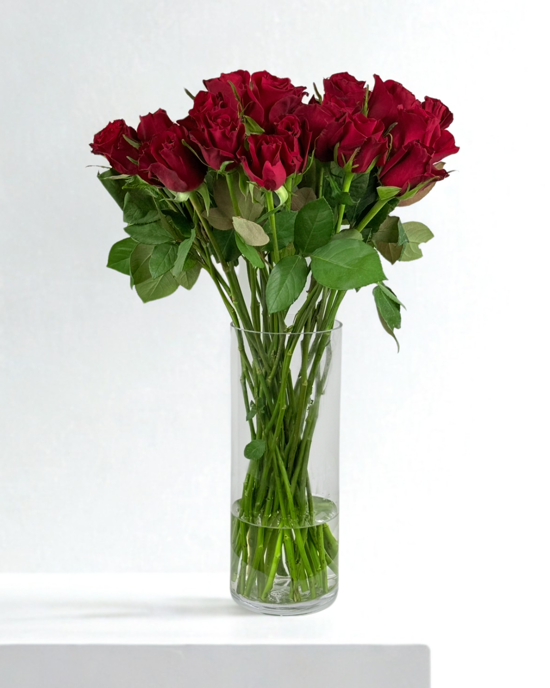 King Red Roses