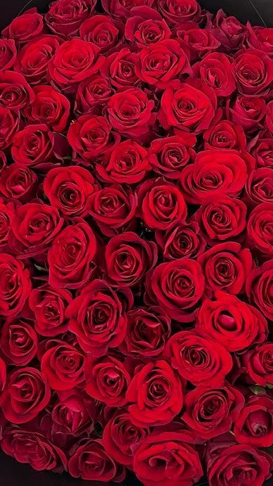 101 red roses