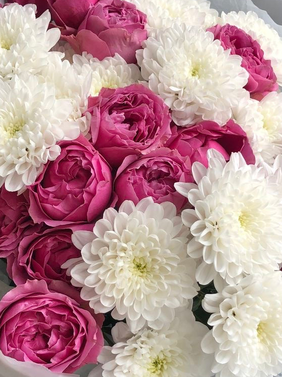 Juliet peony 10 stems with white chrysanthemum 10 stems