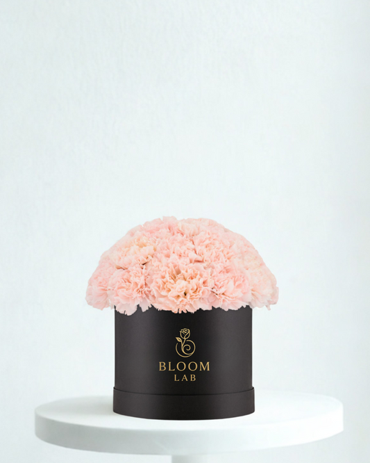 Special gift Dubai