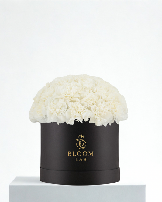 Bloom in box - delivery Dubai