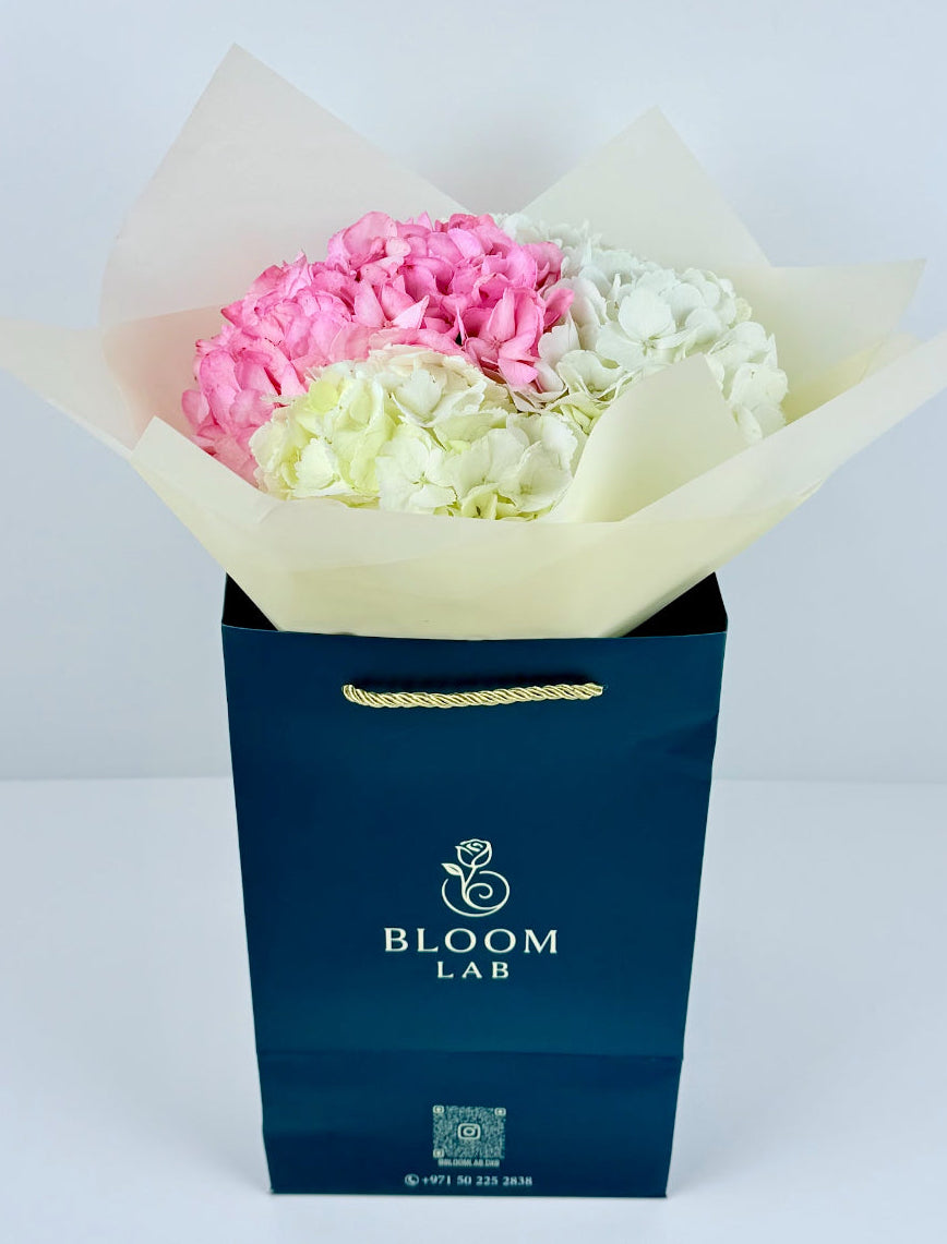 3 hydrangeas pink and white-free flower delivery in Dubai- Bloom Lab
