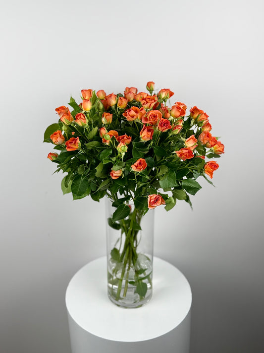 Orange Spray baby roses