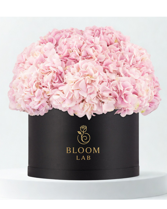 Primum bloom box with pink Hydrangeas , Luxury in a box 
