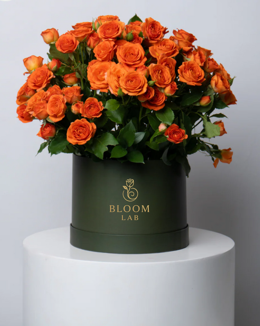 amazing 40 of orange roses in a preimum bloom lab green box, Free delivery 
